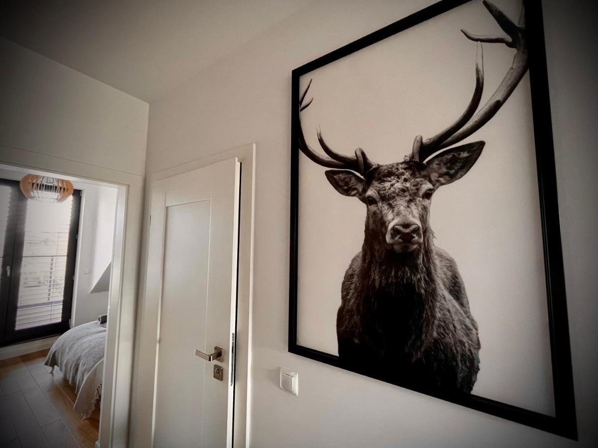 Lazy Deer - Apartamenty يلينيا غورا المظهر الخارجي الصورة